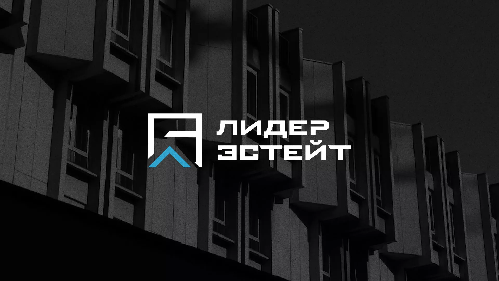 Разработка логотипа агентства недвижимости «Лидер Эстейт» в Ивделе