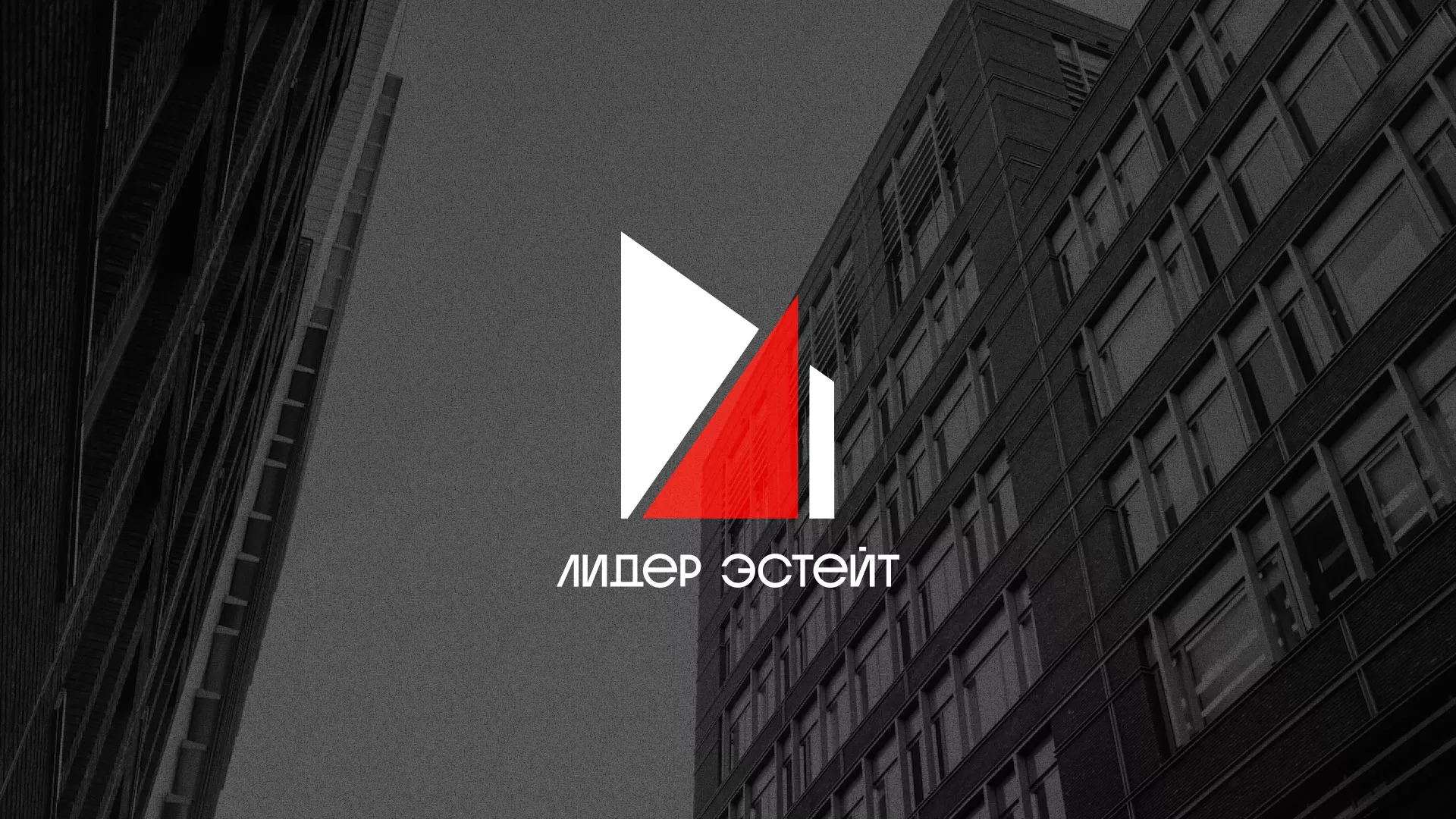 Сделали логотип для агентства недвижимости «Лидер Эстейт» в Ивделе